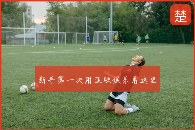 新手第一次用亚联娱乐看这里